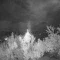Webcam_20180923-233000