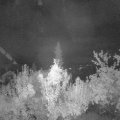 Webcam_20180924-041500