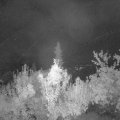 Webcam_20180924-043000