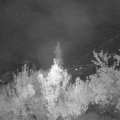 Webcam_20180924-050000