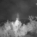 Webcam_20180925-000000