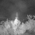 Webcam_20180925-040000