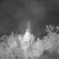 Webcam_20180925-043000