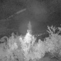 Webcam_20180925-053000