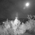 Webcam_20180925-230000