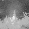 Webcam_20181002-000740