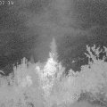 Webcam_20181002-040740