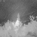 Webcam_20181002-053740