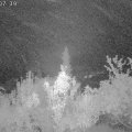 Webcam_20181002-060740