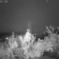 Webcam_20181002-193740