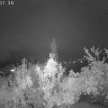 Webcam_20181002-200740