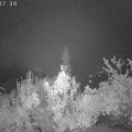 Webcam_20181003-003740