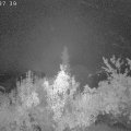 Webcam_20181003-013740
