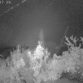 Webcam_20181003-053740