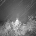 Webcam_20181003-063740