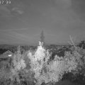 Webcam_20181003-193740