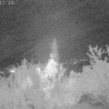 Webcam_20181003-203740
