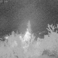Webcam_20181003-220740