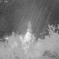 Webcam_20181003-223740