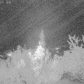Webcam_20181003-230740