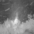 Webcam_20181004-010740