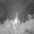 Webcam_20181004-020740