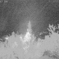 Webcam_20181004-233740
