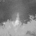 Webcam_20181006-000740