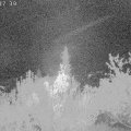 Webcam_20181006-003740