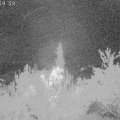 Webcam_20181014-060000