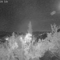 Webcam_20181021-210000