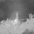 Webcam_20181022-060000