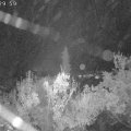 Webcam_20181023-063000