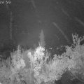 Webcam_20181026-070000