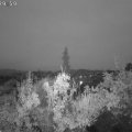 Webcam_20181026-073000