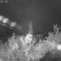Webcam_20181029-070000