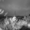 Webcam_20181029-073000