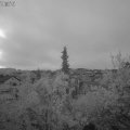 Webcam_20181105-070000