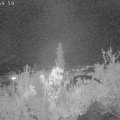 Webcam_20181105-190000