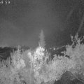 Webcam_20181108-060000