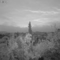 Webcam_20181110-070000