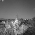 Webcam_20181116-173000
