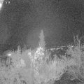 Webcam_20181116-200000
