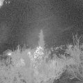 Webcam_20181116-210000