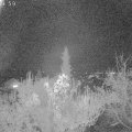 Webcam_20181116-213000