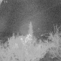 Webcam_20181117-060000