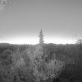 Webcam_20181117-070000