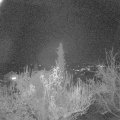 Webcam_20181118-210000