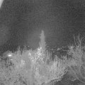 Webcam_20181118-220000