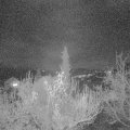 Webcam_20181119-220000
